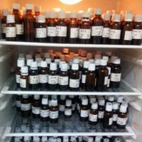 L-羥脯氨酸 生產工藝、應用與市場前景